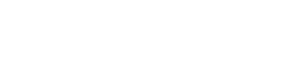 TikTok Marketing Partners